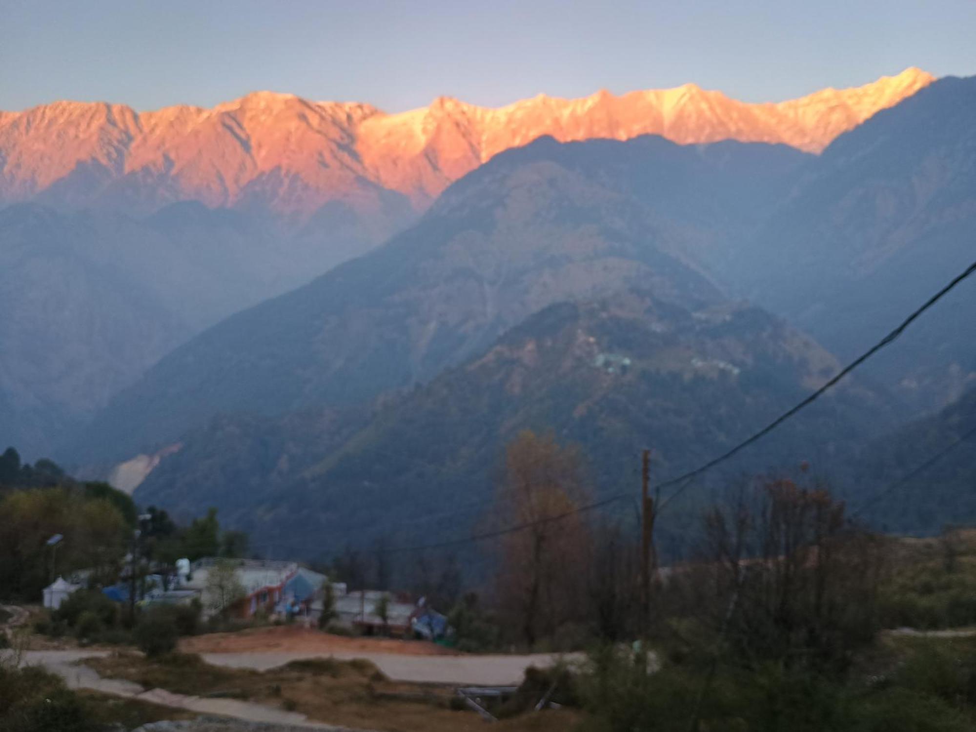 Mcleodganj Diaries Guest House Dharamshala Dış mekan fotoğraf